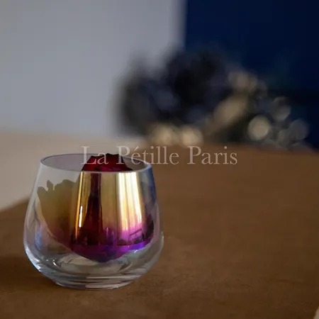 ✪✪✪ La Petille Paris-villa De Standing-jardin-calme-orly ✪✪✪ Sainte-Genevieve-des-Bois